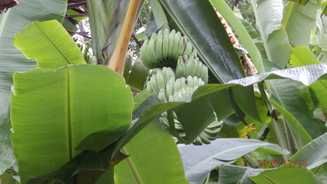 photo 1442352