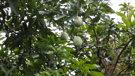 photo 1442354