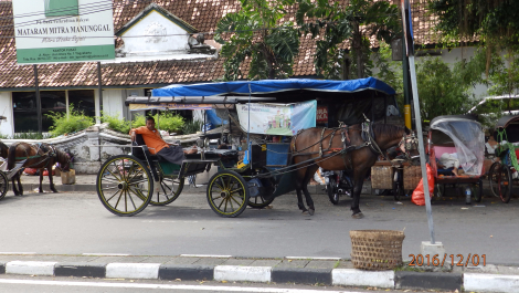 photo 1442378