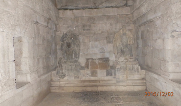 PC026809