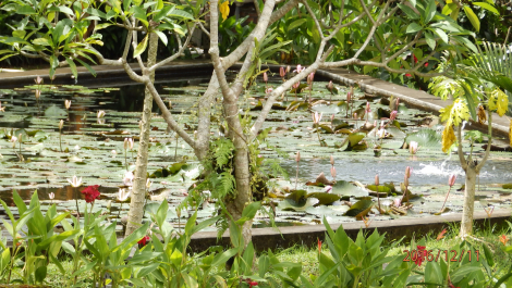 photo 1444742