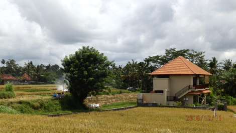 photo 1444750