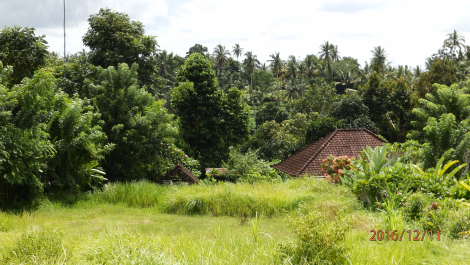 photo 1444751