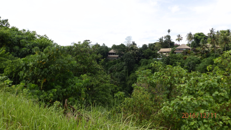 photo 1444764