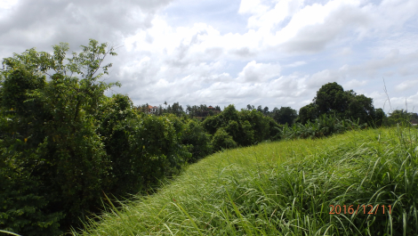photo 1444769