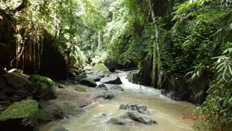 photo 1445355