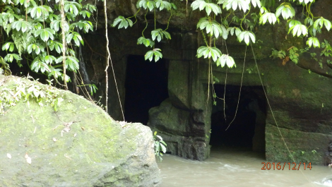 photo 1445359