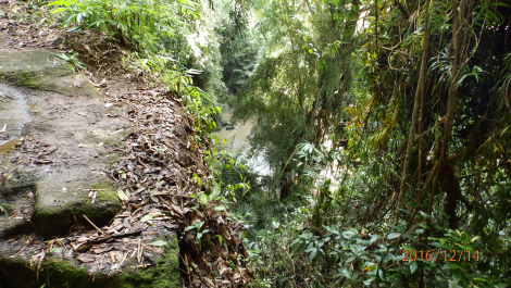 photo 1445380