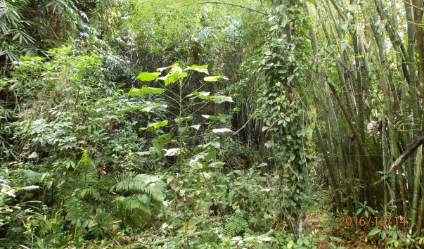 PC148582