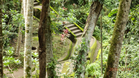 photo 1445435