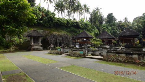 photo 1445457