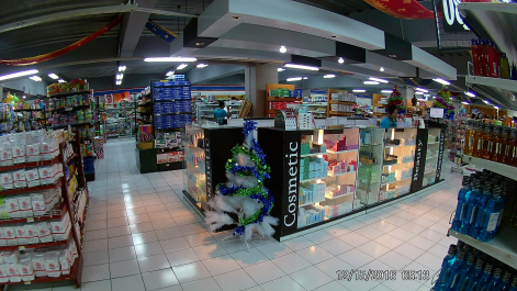 photo 1447841