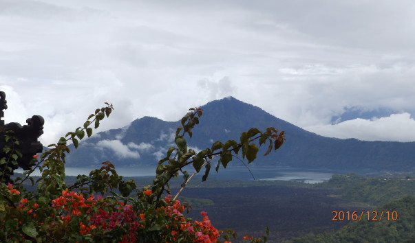 PC107931
