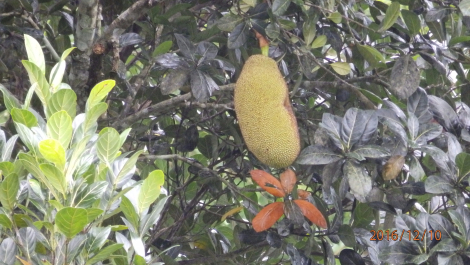 photo 1448066