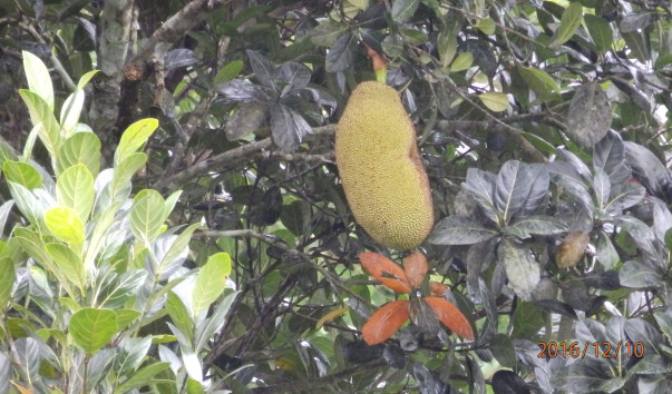 PC107813