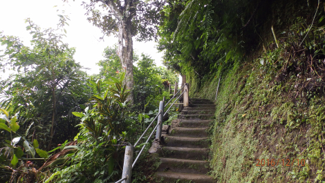 photo 1448081