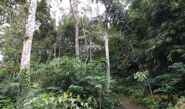 PC107765