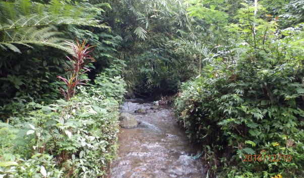 PC107764