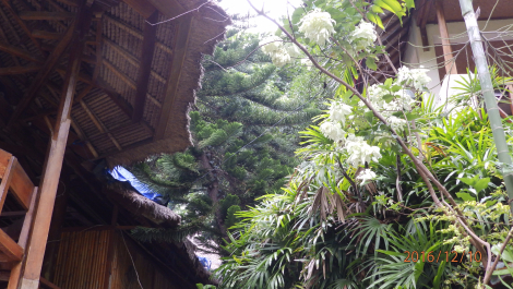 photo 1448131