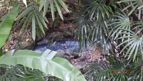 photo 1448133