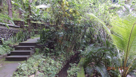 photo 1448139