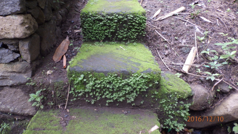 photo 1448140