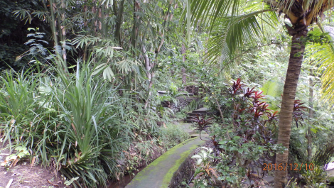 photo 1448145