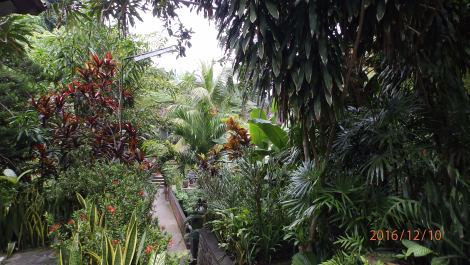 photo 1448152