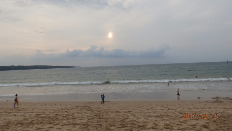 photo 1449440
