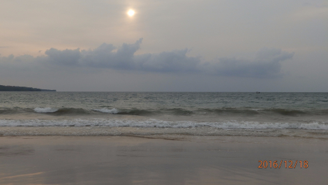 photo 1449445