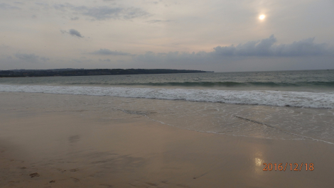 photo 1449446
