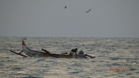 photo 1449452