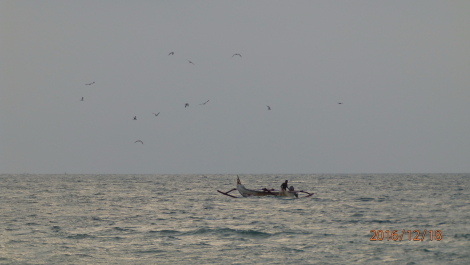 photo 1449454