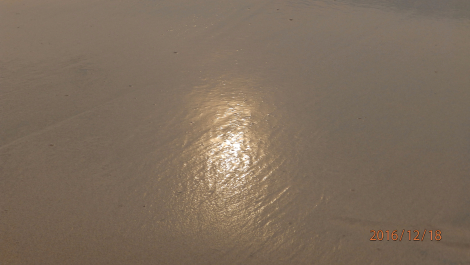 photo 1449459