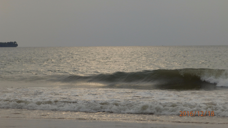 photo 1449462