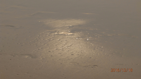 photo 1449464