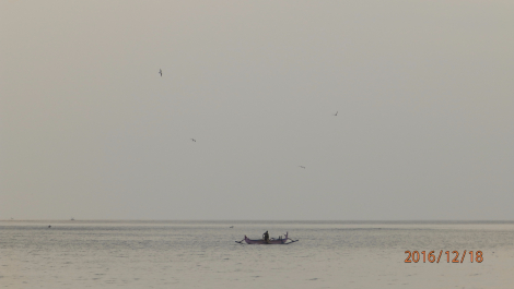 photo 1449470