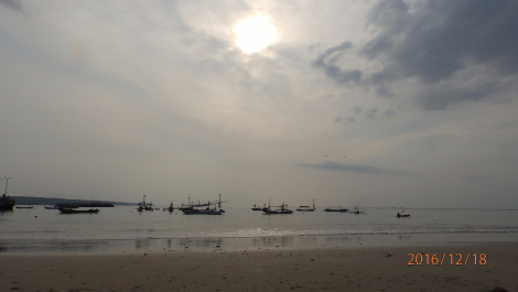 photo 1449482