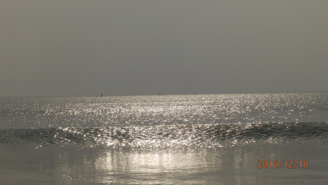photo 1449497