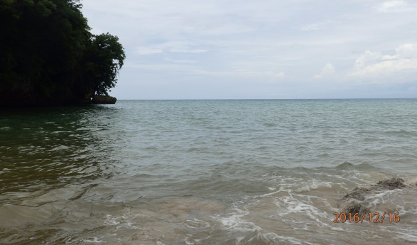 PC168780