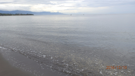 photo 1451493