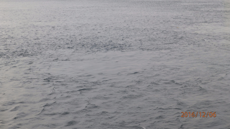 photo 1451540