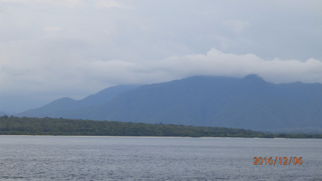 photo 1451559