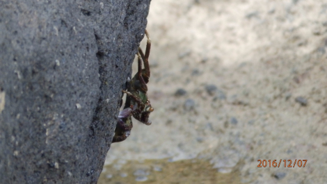 photo 1453320