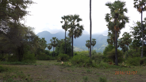 photo 1453352