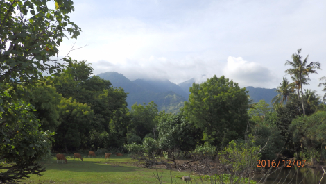 photo 1453389