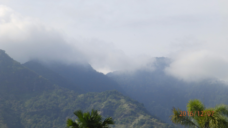 photo 1453397