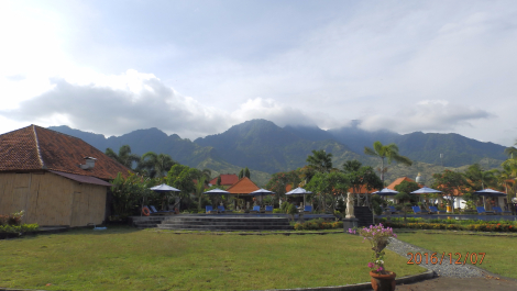 photo 1453398
