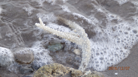 photo 1453407