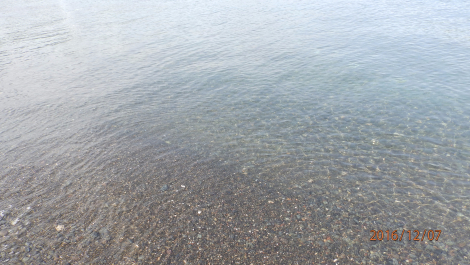 photo 1453415